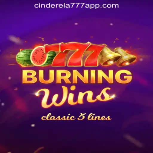 Cinderela777 Oficial Slots Brasil #1 Privacy Policy